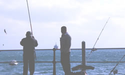 Sea Fishing